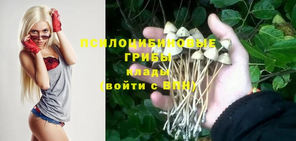 молекула духа Навашино