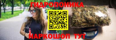 кокс Кандалакша