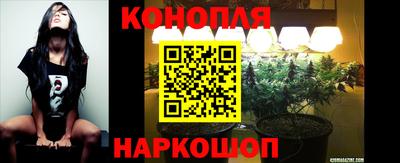 кокс Кандалакша