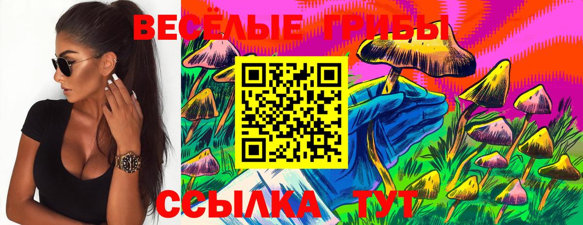 Галлюциногенные грибы Cubensis Южно-Сахалинск